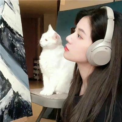 狼皮之下